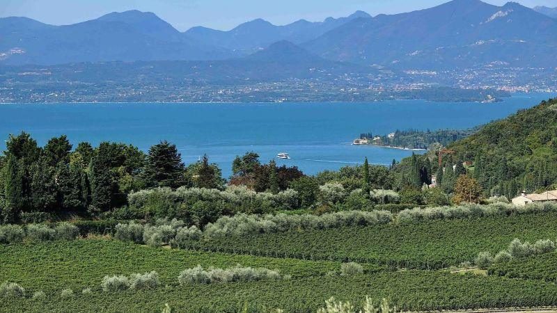 Bardolino, al via la vendemmia del Centenario: attese 20 milioni di bottiglie