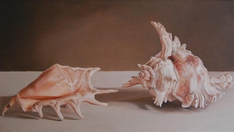 Desenzano, “La misura della meraviglia”: Patrizia Rota alla Galleria Bosio