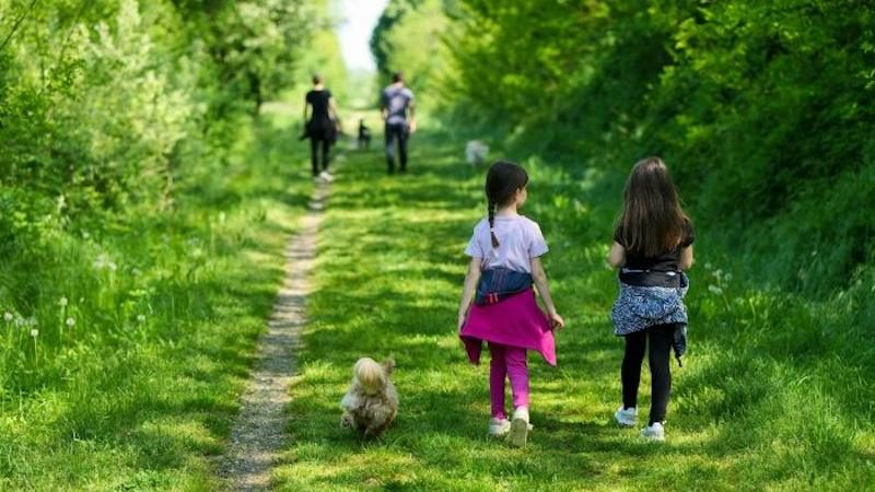 camminata-passeggiata “Camminare sul Chiese”, nuovo percorso tra natura e territorio a Bedizzole